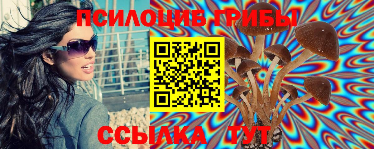 Псилоцибиновые грибы прущие грибы Орск