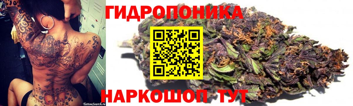 Конопля OG Kush Орск